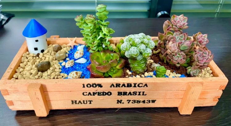 致敬她力量，致敬不被定义的巾帼风华